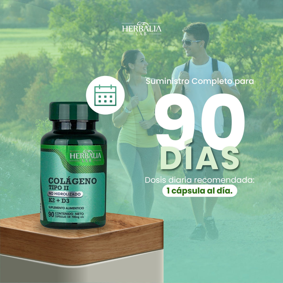 Herbalia Lab | Colágeno No Hidrolizado Tipo II con Vitamina K y D3, Nutrición Óptima + Apoyo Óseo - 90 Cápsulas