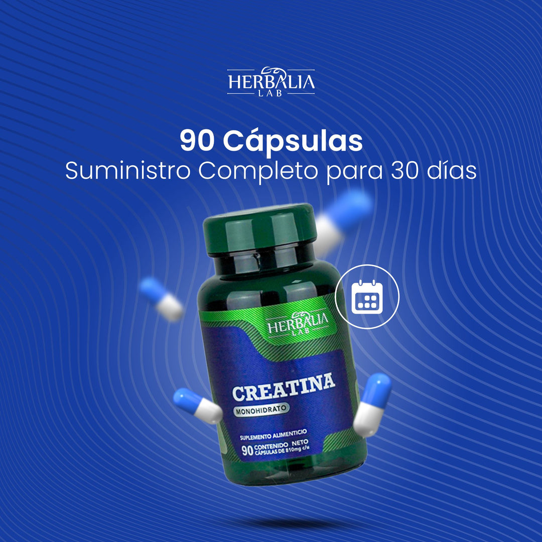 Herbalia Lab Creatina Monohidratada en Cápsulas | Suplemento para Rendimiento Deportivo y Fuerza - 90 Cápsulas