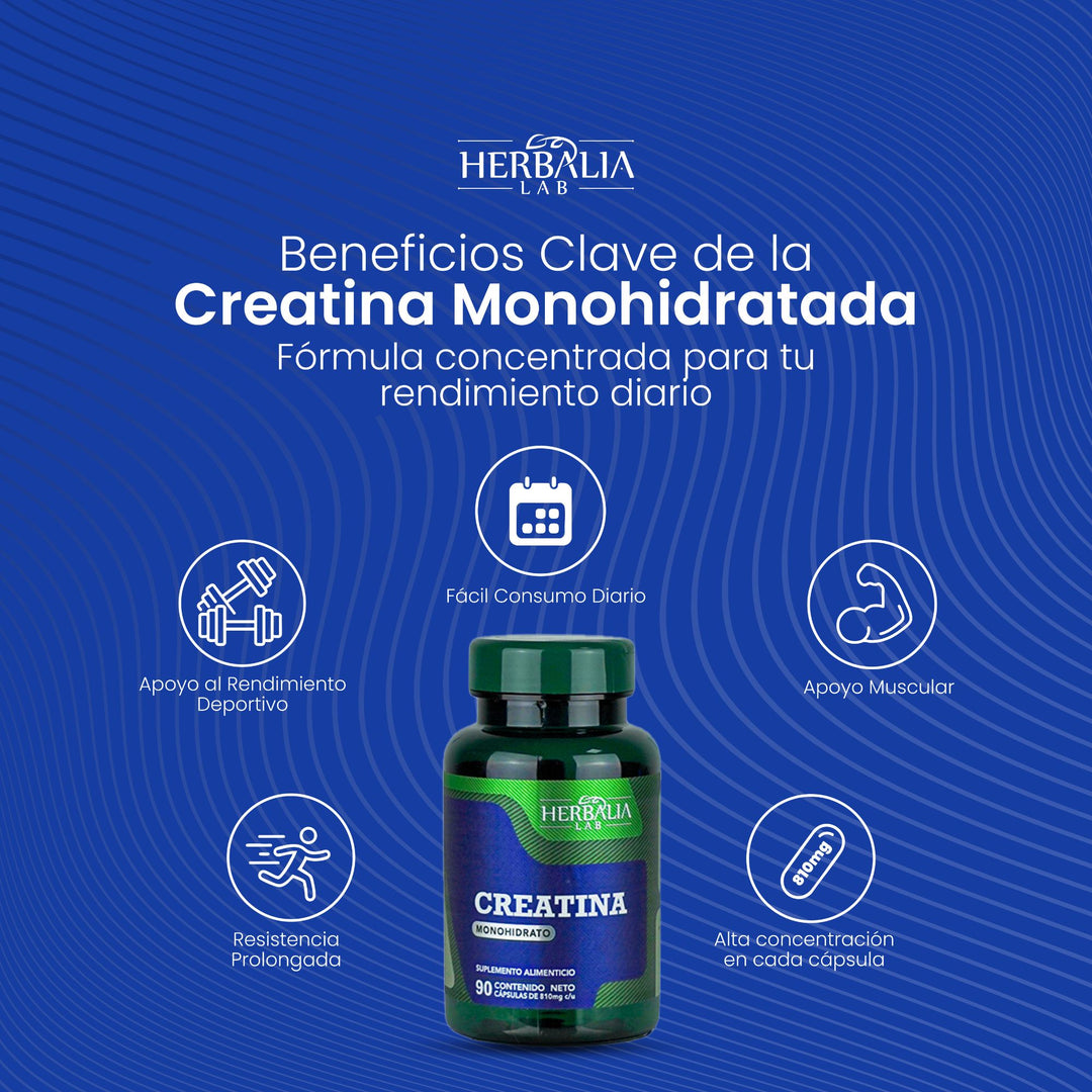 Herbalia Lab Creatina Monohidratada en Cápsulas | Suplemento para Rendimiento Deportivo y Fuerza - 90 Cápsulas