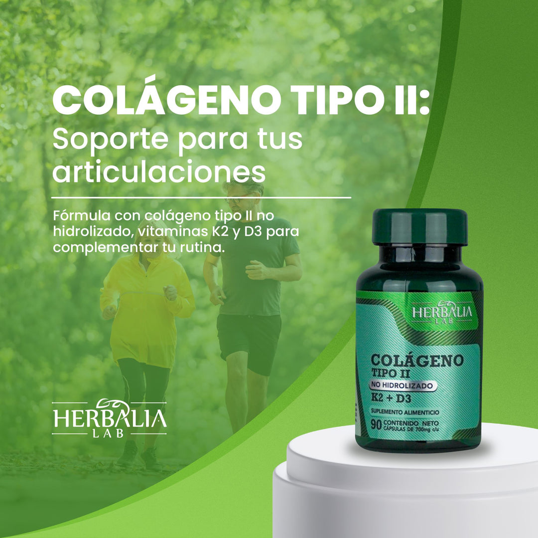 Herbalia Lab | Colágeno No Hidrolizado Tipo II con Vitamina K y D3, Nutrición Óptima + Apoyo Óseo - 90 Cápsulas